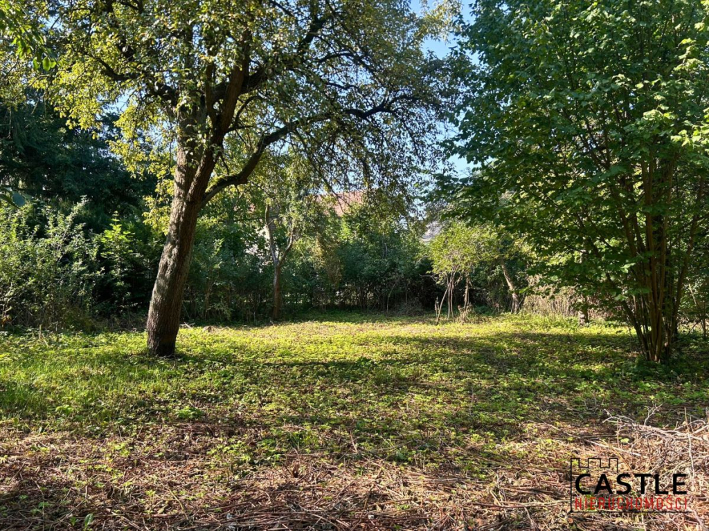 Historia z przyszłością - wyjątkowa willa z 1912 Nowy Tomyśl - zdjęcie 3