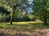 Historia z przyszłością - wyjątkowa willa z 1912 Nowy Tomyśl - zdjęcie 3