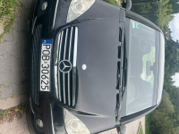 Mercedes A180 w169 2006r Lusowo - zdjęcie 2