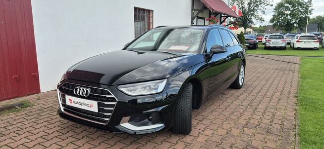 Audi A4 AVANT-MEDIA-LED Paproć - zdjęcie 3