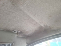Sprzedaż Fiat Panda, rok prod. 2009. Hoczew - zdjęcie 2