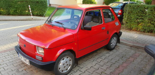 126P Krosno - zdjęcie 2