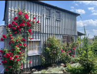 Dzialka Rod Szczecin - zdjęcie 5