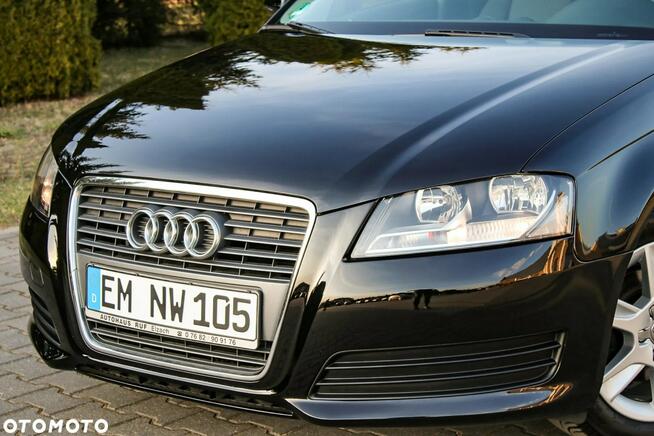 Audi A3 1.6MPI*102KM Ostrów Mazowiecka - zdjęcie 11