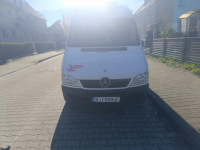 Sprzedam Ścinawa - zdjęcie 6