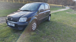 Panda klima prywatnie Nowy Dwór Mazowiecki - zdjęcie 7