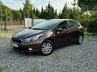 Kia Ceed 1.4 benzyna, piękny kolor, stan wzorowy. Gołków - zdjęcie 5