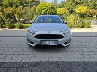 FORD FOCUS 1.6 115 KM EKONOMICZNY Strzegom - zdjęcie 2