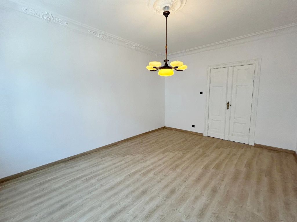 Przestronne mieszkanie w kamienicy - po remoncie! Jeżyce - zdjęcie 3