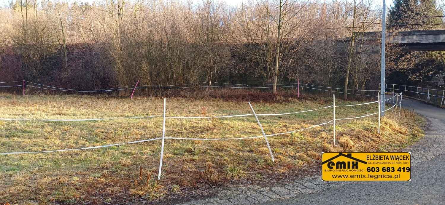 Działka budowlana 1500m2 w Starej Kraśnicy k. Świerzawy Złotoryja - zdjęcie 4