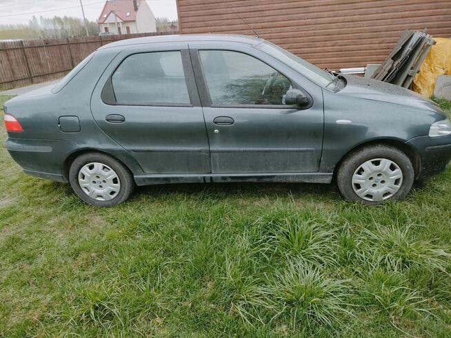 Sprzedam Wierzchowiny - zdjęcie 2