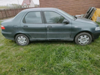 Sprzedam Wierzchowiny - zdjęcie 2