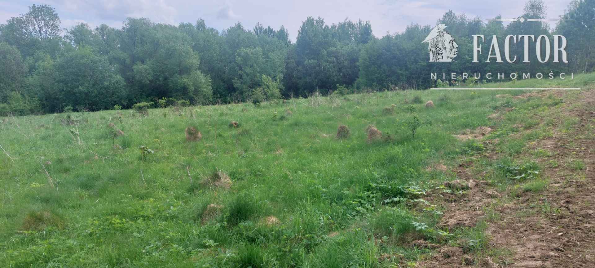 Siary, działka rolna, 1149S/2025 Siary - zdjęcie 3