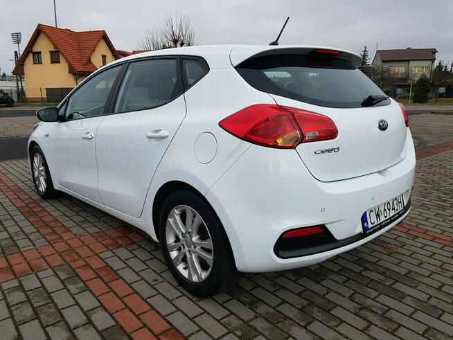 Kia Cee&#039;d 1.6 Benzyna Klima Zarejestrowany Gwarancja Włocławek - zdjęcie 7