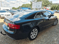 A5 2.0 TDI 170 KM hak SKÓRA xenon NAVI klima SERWIS 2010 Tychy - zdjęcie 3