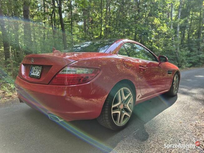 Mercedes slk r172 350 Grodzisk Mazowiecki - zdjęcie 10