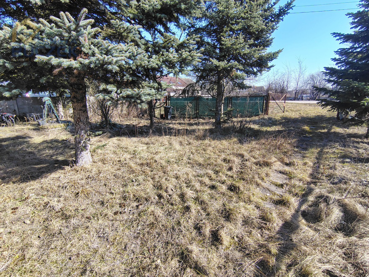 Działka z domem na sprzedaż Łowicz - zdjęcie 5