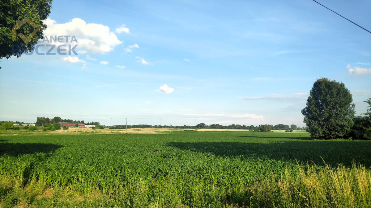 Działka w Kopytowie 34 470 m2 przy DK92 Kopytów - zdjęcie 4