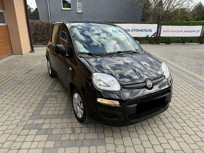 Fiat Panda 1,2 69KM  Klimatyzacja Orzech - zdjęcie 3