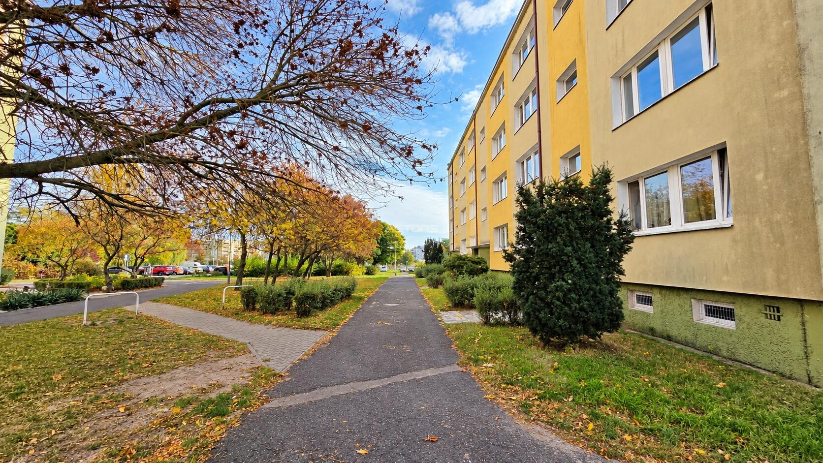 3-POKOJOWE MIESZKANIE W ZNAKOMITEJ LOKALIZACJI! Poznań - zdjęcie 12