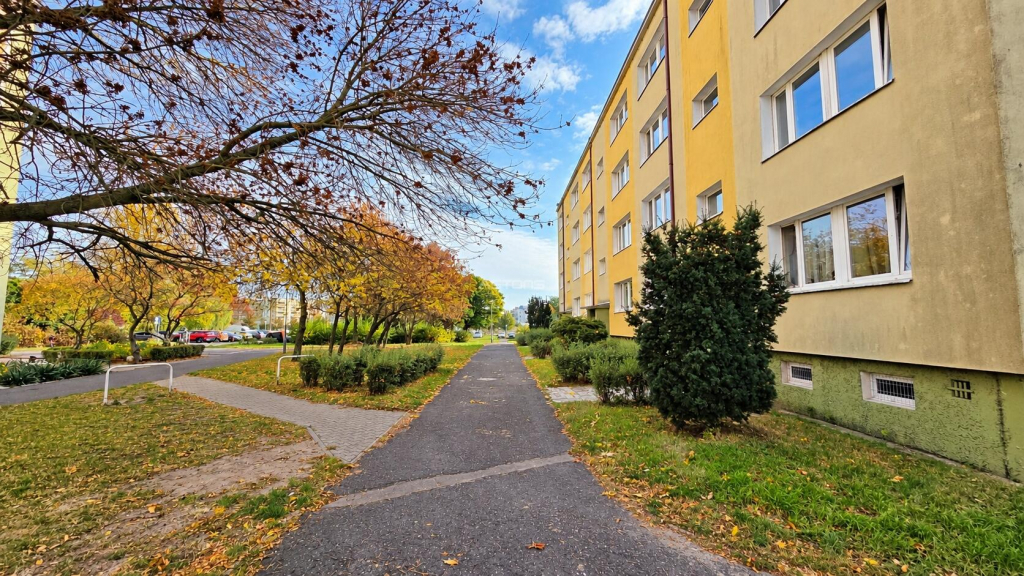3-POKOJOWE MIESZKANIE W ZNAKOMITEJ LOKALIZACJI! Poznań - zdjęcie 12