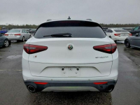 Alfa Romeo Stelvio / 2.0 280KM / 4x4 / Niski przebieg / Tarnów - zdjęcie 6