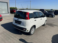 Fiat Panda Klimatyzacja LPG Gliwice - zdjęcie 4