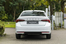 Škoda Octavia Edition 130 Selection 2.0 TDI 150 KM DSG Łódź - zdjęcie 10