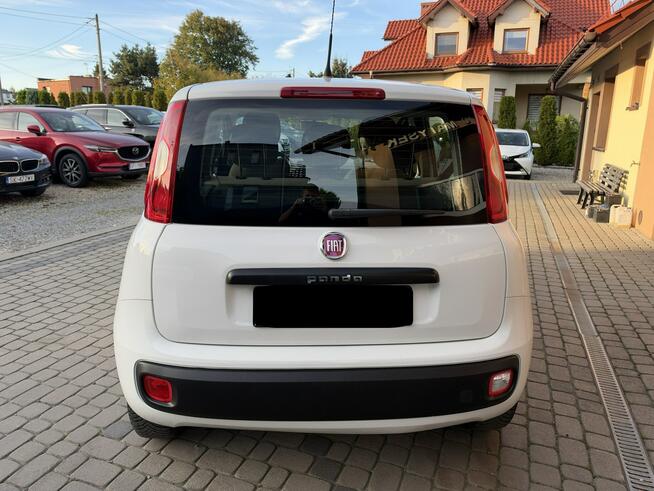 Fiat Panda 1,2 69KM  Klimatyzacja Orzech - zdjęcie 8