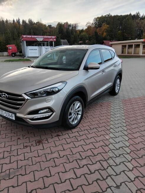 HYUNDAI Rzeszów - zdjęcie 2