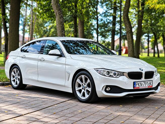 BMW 420 Sadlno - zdjęcie 3