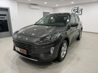 Ford Kuga Bogate Wyposażenie / Serwisowany / Roczna Gwarancja w cenie Korczyna - zdjęcie 8