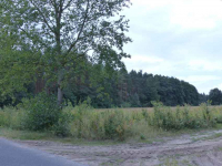 Działki rolno-budowlane razem 8,85ha Małomin - zdjęcie 5