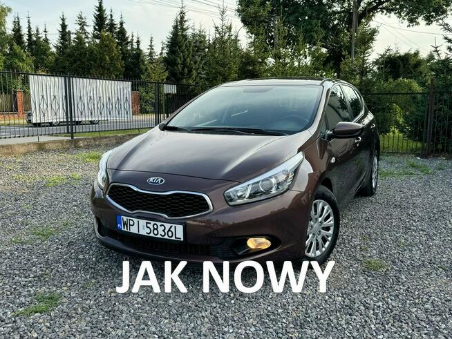 Kia Ceed 1.4 benzyna, piękny kolor, stan wzorowy. Gołków - zdjęcie 1