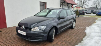 Volkswagen Golf Paproć - zdjęcie 3