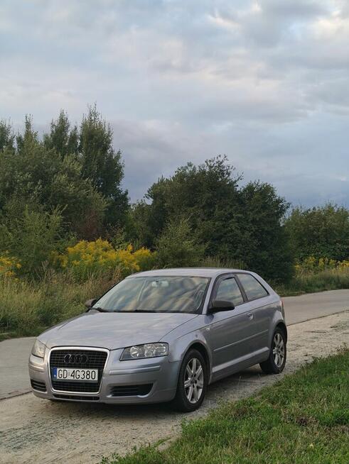Audi A3 8P 1.6 MPI Gdańsk - zdjęcie 4