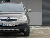 Opel Antara 2.4 Selection Goworowo - zdjęcie 4