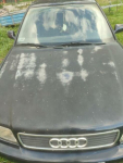Audi A4 na części