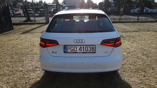 Audi A3 piękna. Gwarancja. Polecam !!! Zielona Góra - zdjęcie 6
