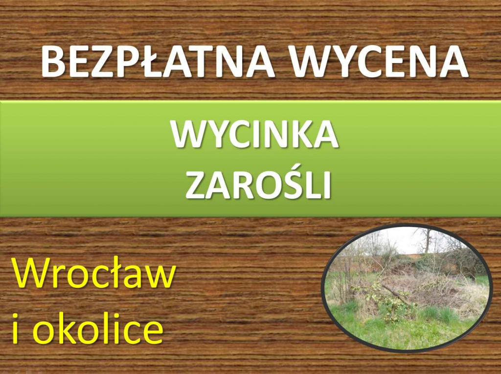 Przycięcie żywopłotu, skrócenie, tel 504-746-203, Wrocław, pielęgnacja Psie Pole - zdjęcie 4