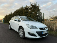 Opel Astra Niezawodny silnik 1.6 Poznań - zdjęcie 5