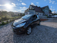 Ford KA 1.25 benzyna Bogata wersja Chempion League