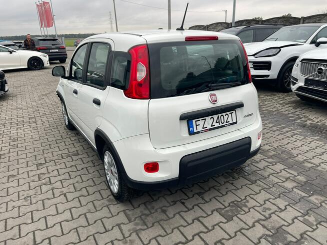 Fiat Panda Salon Polska_mHEV Klimatyzacja Gliwice - zdjęcie 4