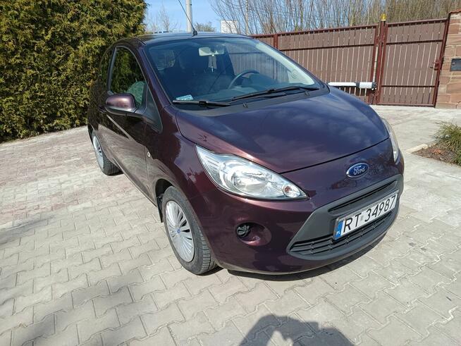 Ford KA 1.2 Oryginalny lakier mały przebieg Szydłowiec - zdjęcie 1