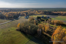 Zielona okolica | Panorama | 52 ar | Droga Huta Przedborska - zdjęcie 6