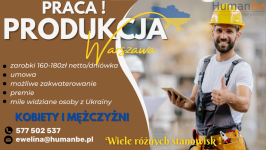 Pracownik produkcji - Warszawa - Piekarnia Fabryczna - zdjęcie 1