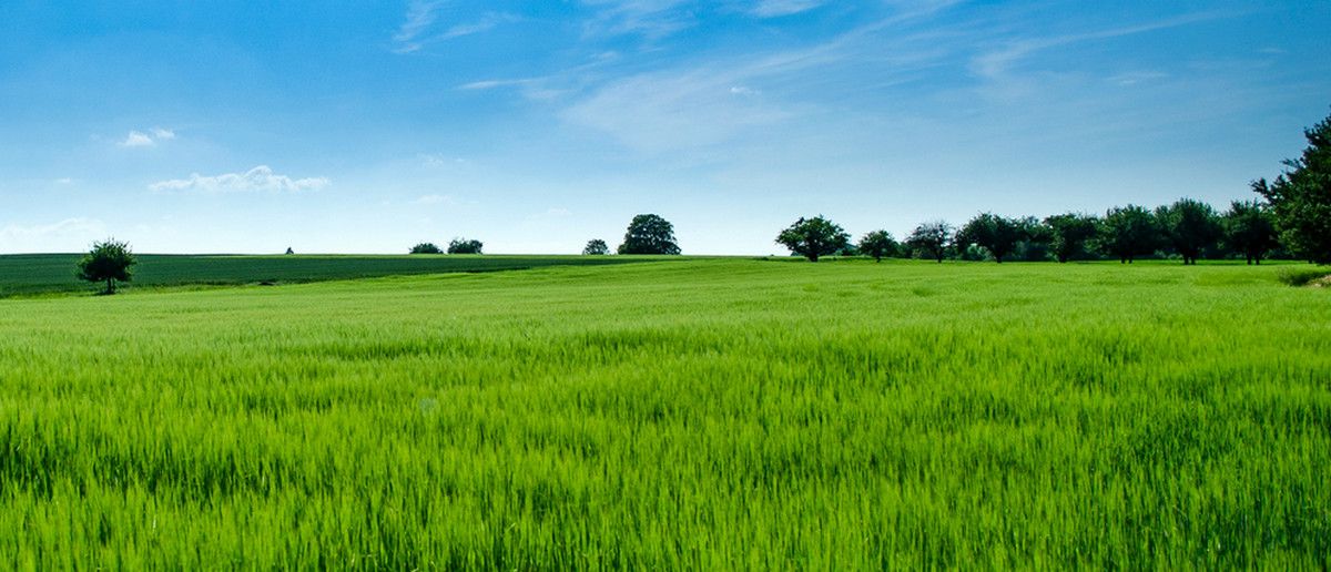Atrakcyjna działka 3420m2 Dobrzyniewo Kościelne Dobrzyniewo Kościelne - zdjęcie 2