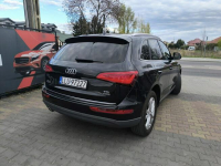 Audi Q5 2.0 TDi 190KM Quattro Skóra Navi Automat Łuków - zdjęcie 6