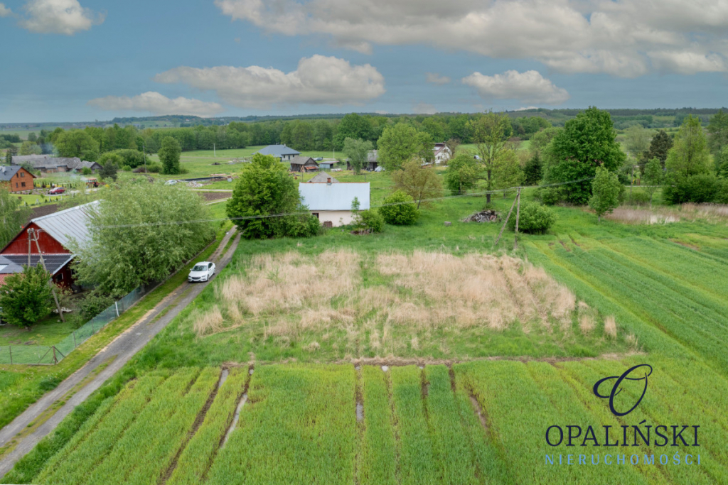 Cisza | Spokój | Las | Budowlana Czerce - zdjęcie 2