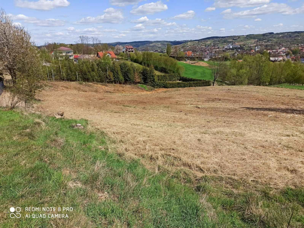 Działka rolno-budowlana (5600m2) ul. Leśna MEDIA (Tuchów) Tuchów - zdjęcie 1